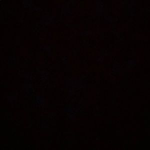 Meet your Posher, Freddy